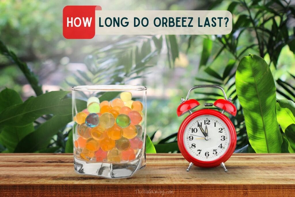 How Long Do Orbeez Last