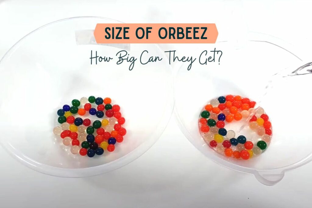 Size of Orbeez gel bals- how big can they get