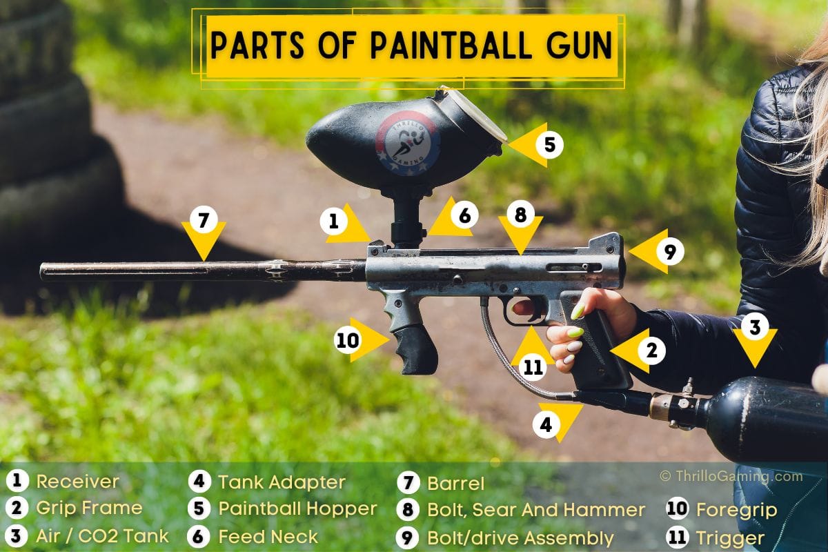 The Building Blocks of a Paintball Gun: Key Parts and Their Roles