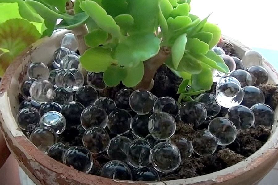 Used orbeez on garden pot