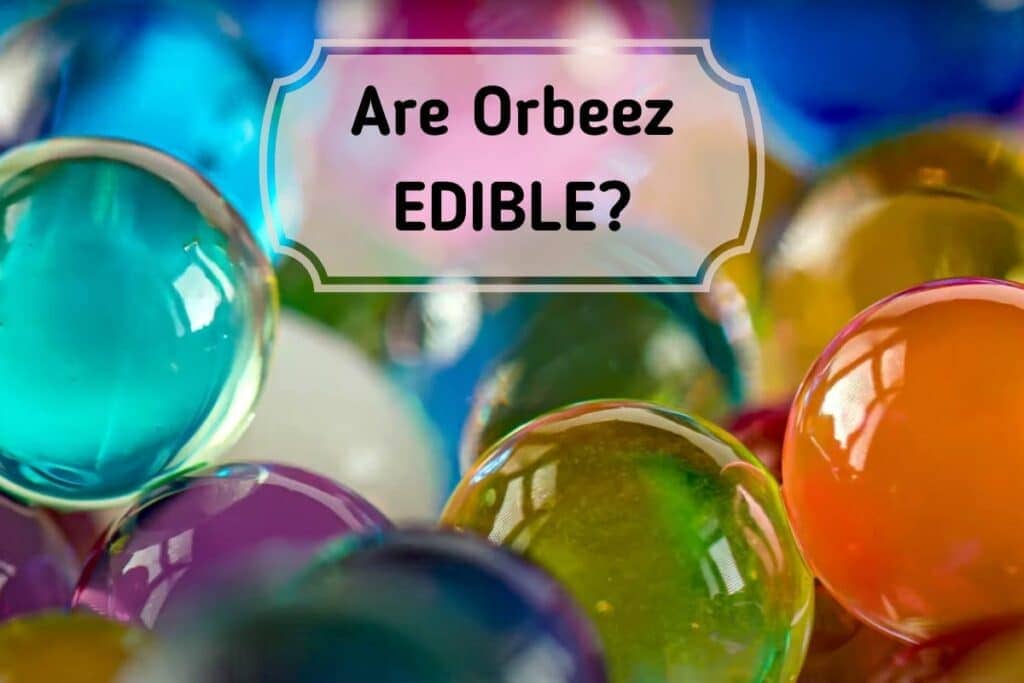 Are Orbeez edible