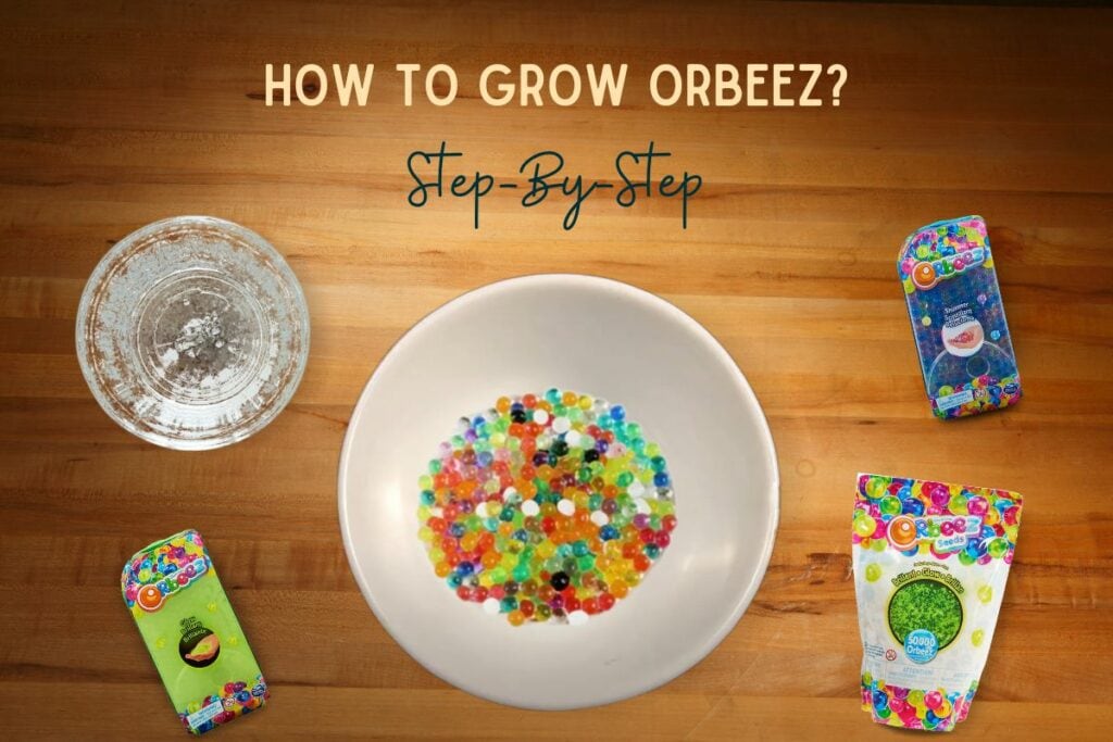 How to grow Orbeez Step-By-Step