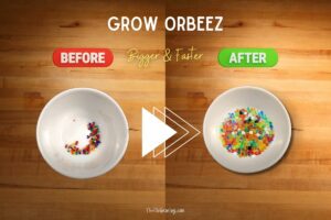 Make Orbeez grow faster and bigger