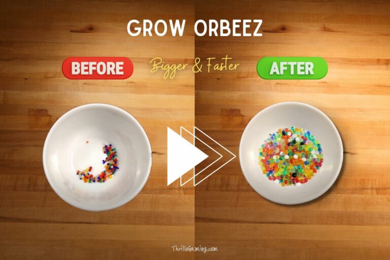 How To Make Orbeez Grow Bigger And Faster? 8 Tips And Tricks