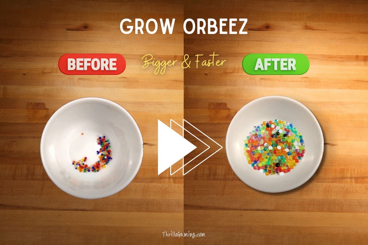 How to Grow Orbeez Fast  