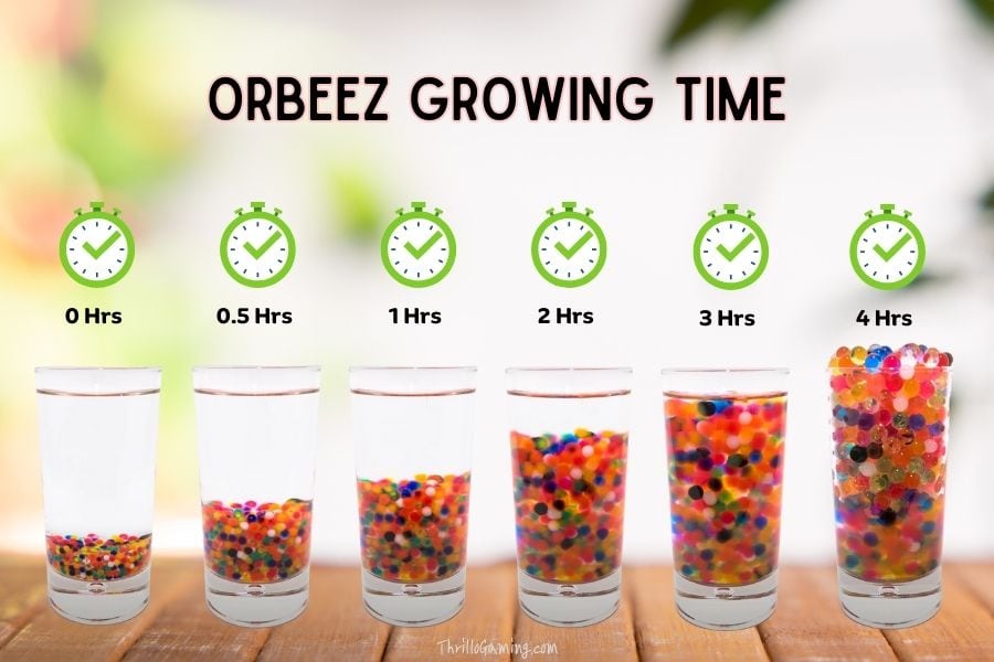 Orbeez growing time