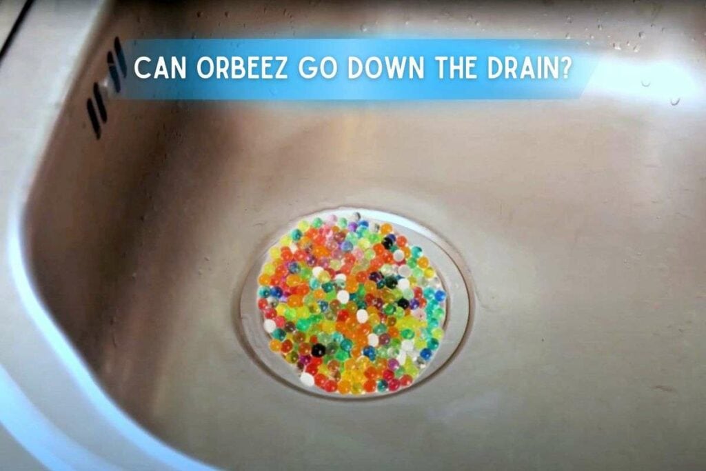 Can Orbeez Go Down The Drain? Here is the answer