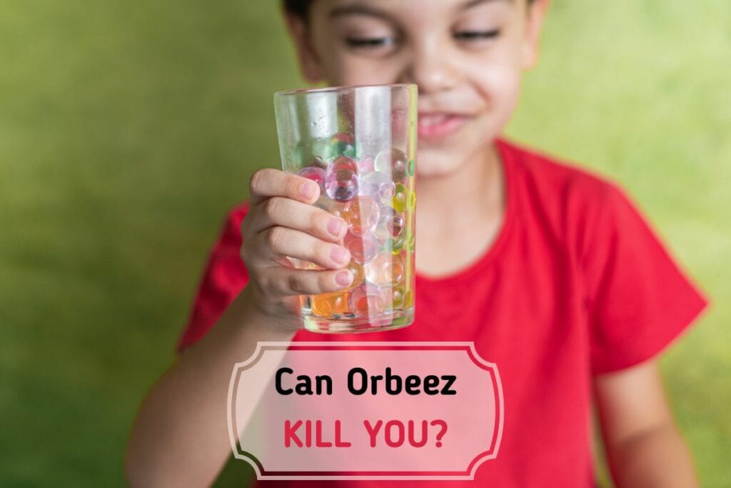 Can Orbeez Kill You