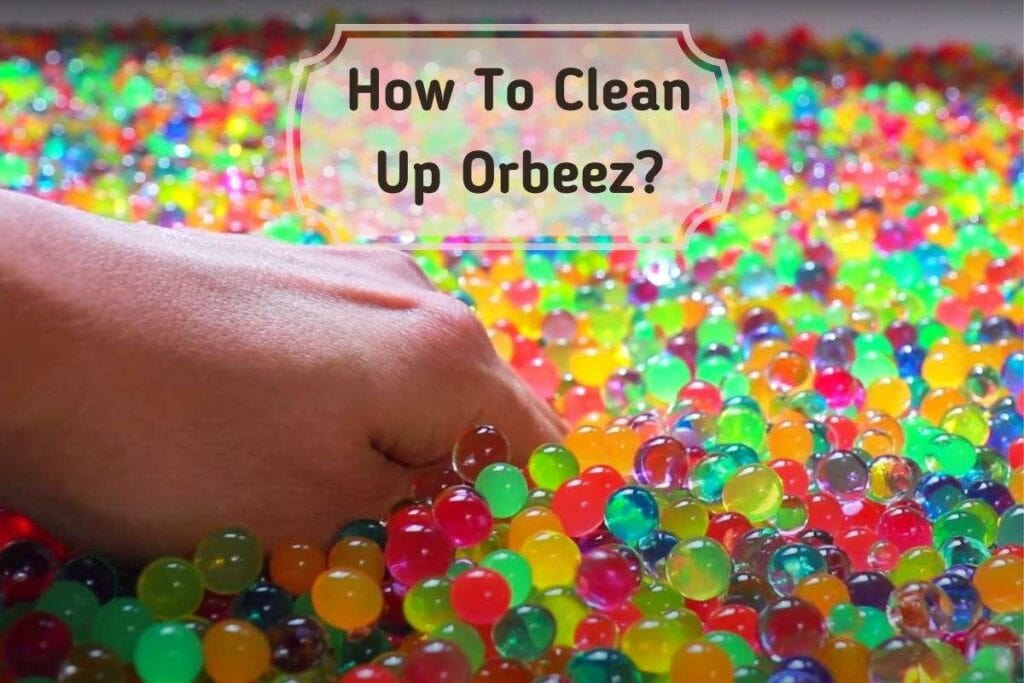 How To Clean Up Orbeez