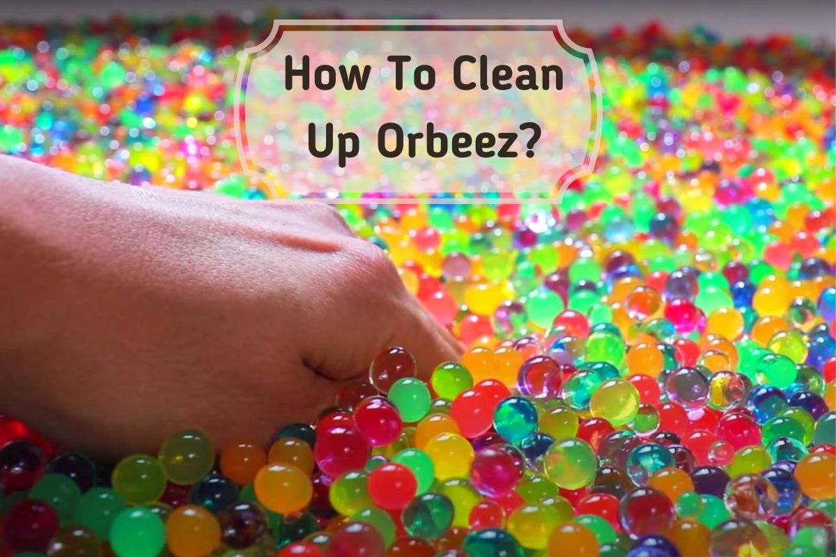 How To Clean Up Orbeez? Discover Proven Techniques