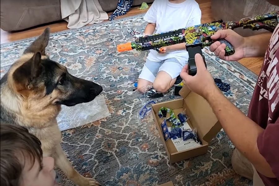 My friend setting up gel blaster in presence of his dog