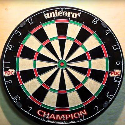 Bristle Dart Board